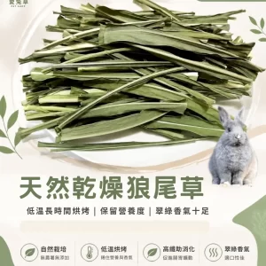 天然 乾燥狼尾草 烘乾狼尾草