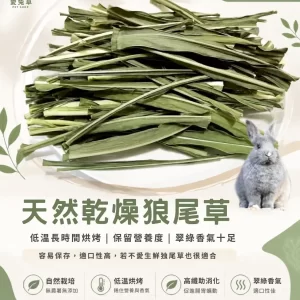Alternative view of 天然 乾燥狼尾草 烘乾狼尾草