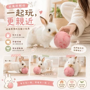 Alternative view of 兔子玩具 兔兔玩具 兔子球 兔子用品 互動玩具 兔子發情玩具