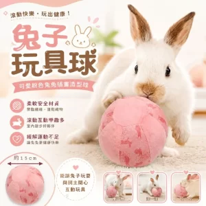 兔子玩具 兔兔玩具 兔子球 兔子用品 互動玩具 兔子發情玩具