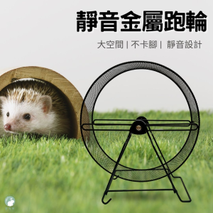 Alternative view of 32公分直徑 超大靜音跑輪 松鼠 刺蝟 龍貓  金屬不銹鋼跑輪 蜜袋鼯跑輪