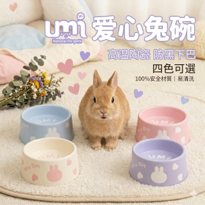 UMI 高溫陶瓷碗 飼料碗 兔子碗 易清洗 寵物碗 陶瓷防翻飼料碗 垂耳兔/侏儒兔專用 穩重不打翻 陶瓷食盆